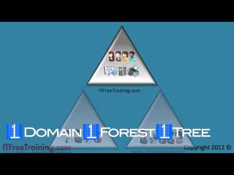 MCITP 70-640: Active Directory forest and trees