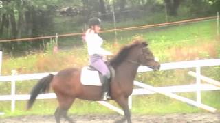 Testing Av Gangarter