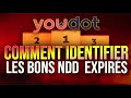 Youdot  identifier les bons ndd expirs  precommander