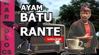 🤣 Ludruk Jula-Juli Kartolo CS – Ayam Batu Rante | Dagelan Jawa Paling Ngakak!