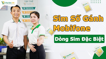 Bí Ẩn Dòng Sim Số Gánh MobiFone | Chợ Sim 24h News