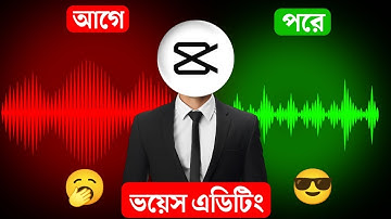 CapCut দিয়ে প্রফেশনাল ভয়েস এডিটিং শিখুন | Learn Professional Voice Editing with CapCut