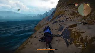 The Witcher 3 Wild Hunt Poor, Poor Roach