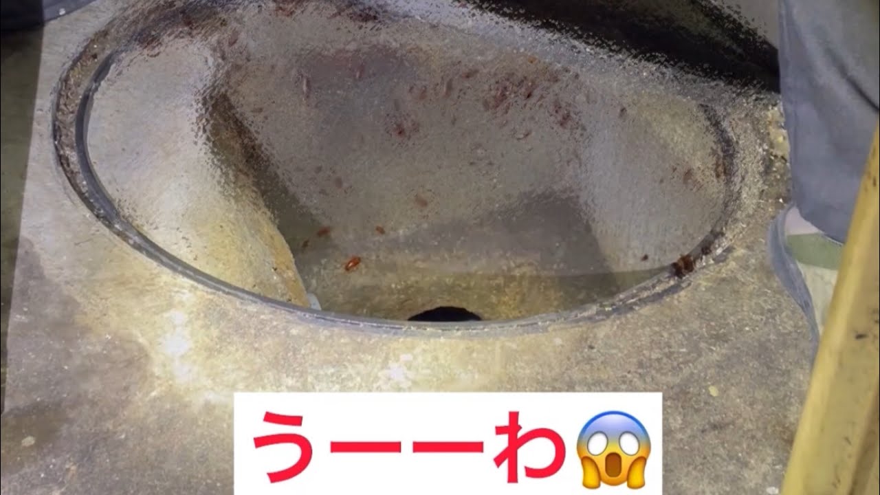 マンホール内のゴキブリ駆除