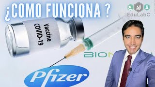 ¿Como funciona la vacuna de Pfizer? | EduLabC