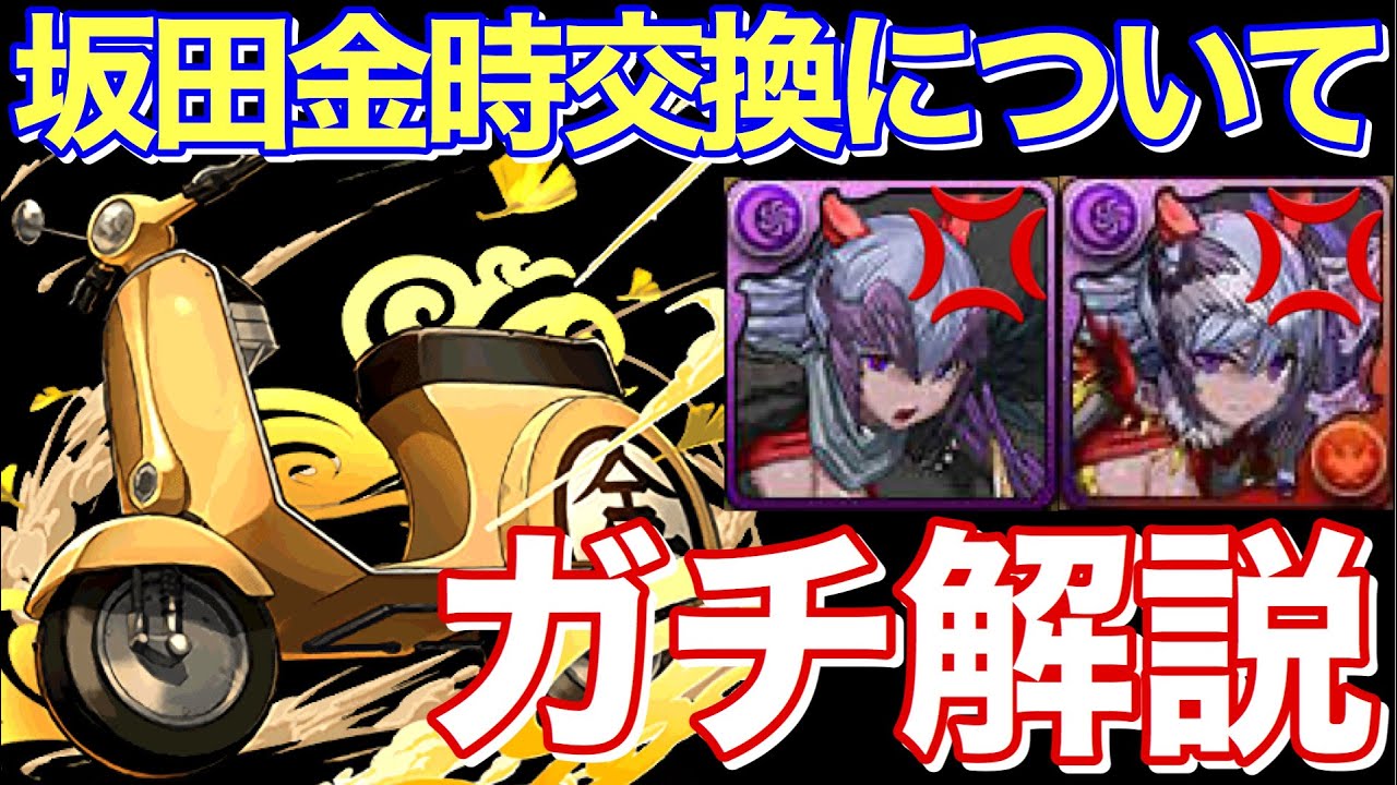 絶対後悔する人出てきそう 坂田金時の交換迷ってる方へ 全形態圧倒的解説 パズドラ パズドラ実況 Youtube