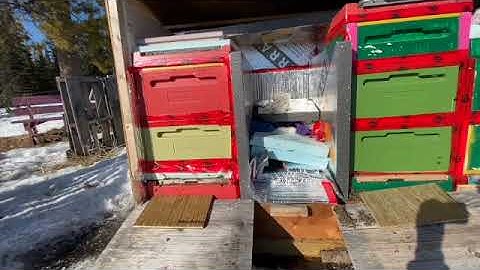 Adding pollen patties