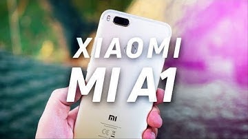Mi A1 camera photography || 100% true || by Adobe light room