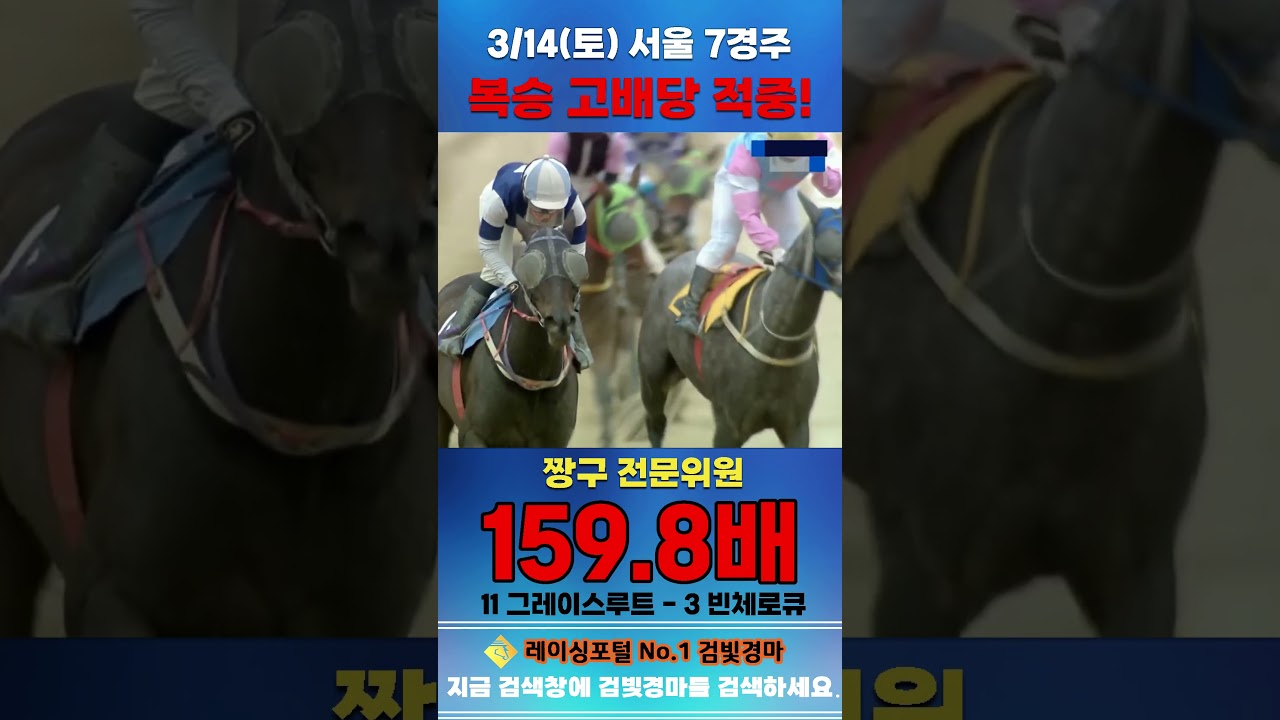 [서울 경마] 3월 14일 토요 7경주 짱구 전문위원 복승 고배당 적중 #경마 #horse #한국마사회 #automobile #하이라이트 #equestrian#비트코 #korean