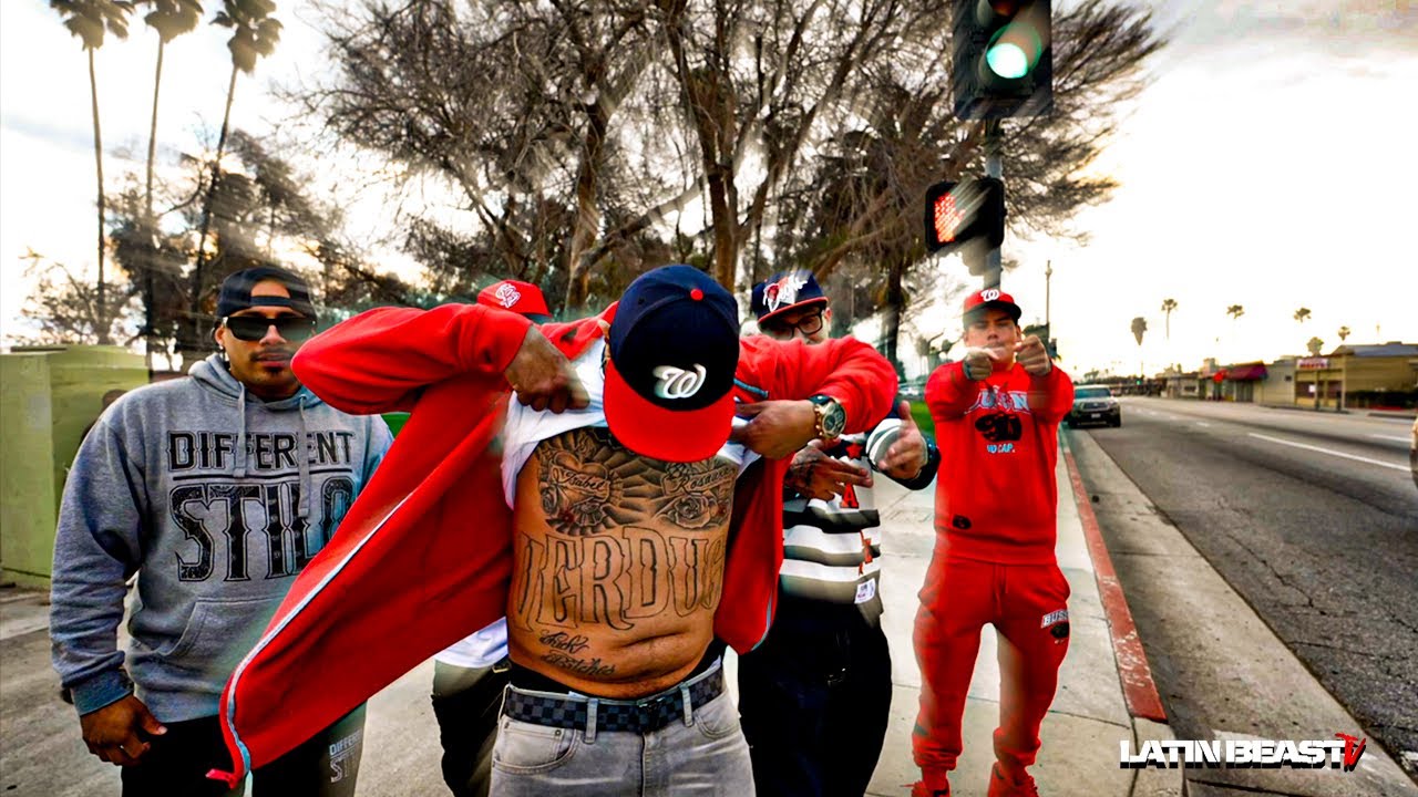 Shades - Mister (Official Music Video)