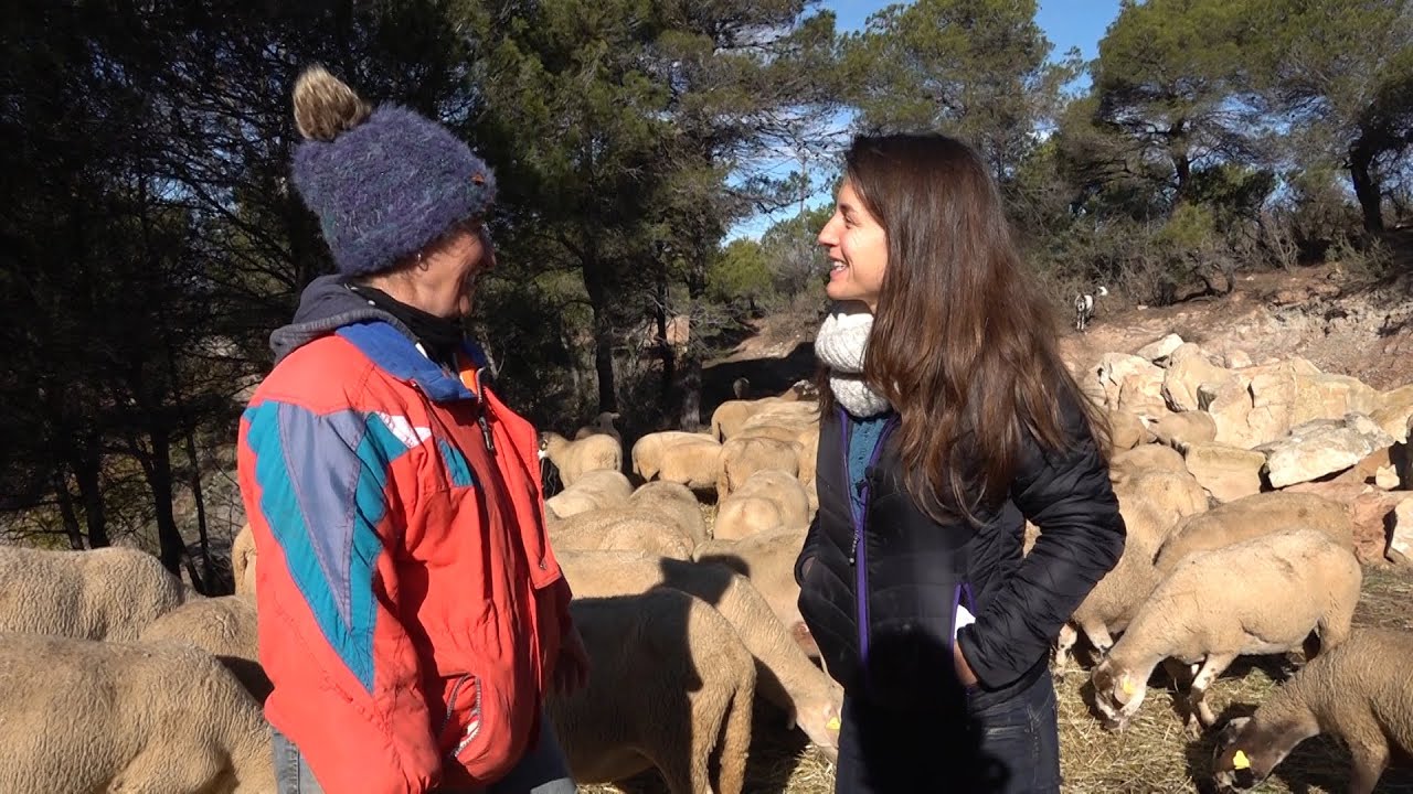 Argençola, vida tranquila de pastores, productors ecològics i tions de Nadal - Univers Anoia