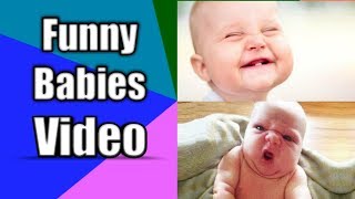 Funny Babies Video