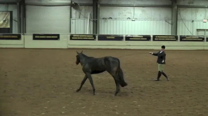 MARY WILKOSZ & HESA FREQUENT FLYER - 2020 NSBA WOR...