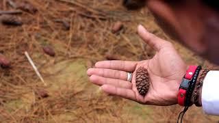 Afgan   Cinta Tanpa Syarat OST  London Love Story 3   Video klip cover preweding