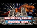 Natural History Museum: Place to visit in London. Лондонский музей естествознания: короткий обзор.