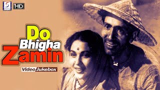 Do Bigha Zamin 1953 Movie Song Jukebox l  Melodious Hits Evergreen Song l Balraj Sahni , Nirupa Roy