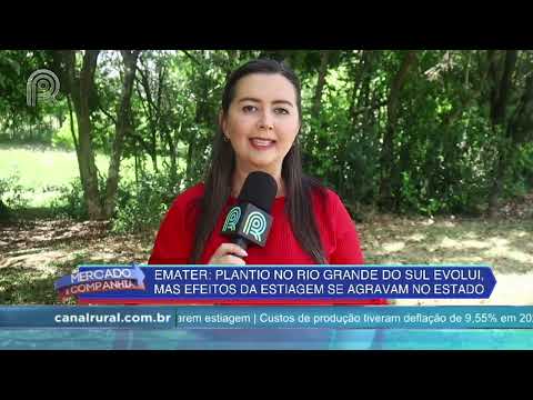 Regiões do RS registram chuvas de granizo com prejuízos para as lavouras de tabaco | Canal Rural