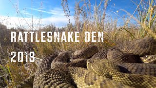 Rattlesnake Den 2018