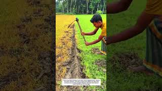 5kg Steel Ditching Tools Create Deep Irrigation Trenches 2X Faster | Manual Farm Tools