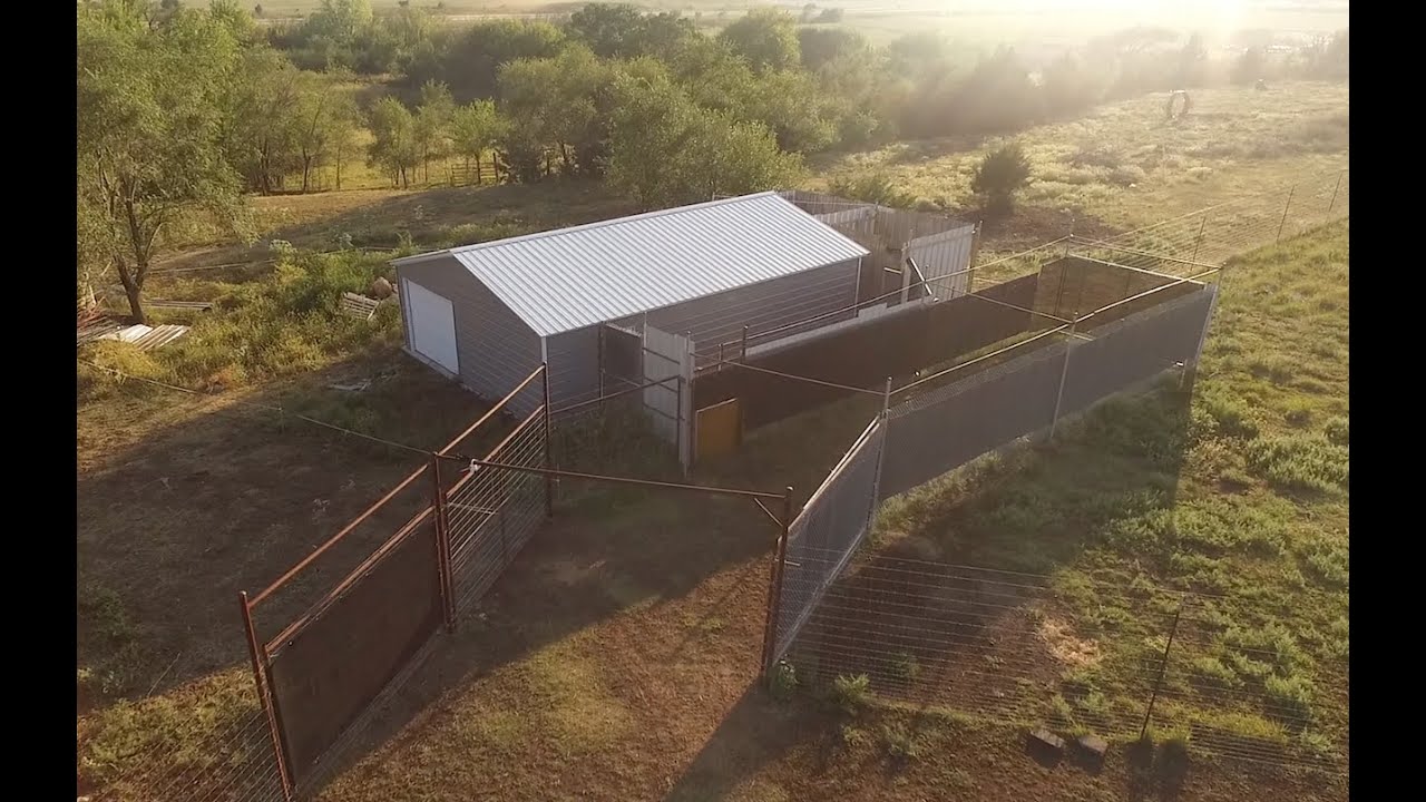 You Want To Raise WHAT On The Farm What Kind Of Deer YouTube you-want-to-raise-what-on-the-farm-what-kind-of-deer-youtube