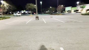 Arrma felony 6s factory punch settings short vid