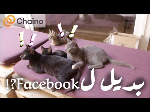 بديل لفيسبوك 