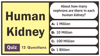Human Kidney - Quiz | 12 Questions | General Science Quiz Profile