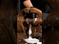 You’ve Never Seen a Clamp Fix Like This 🔥#asmr #restoration #satisfying #shorts