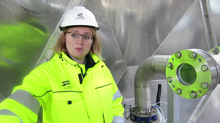 Turning Carbon Emissions to Stone