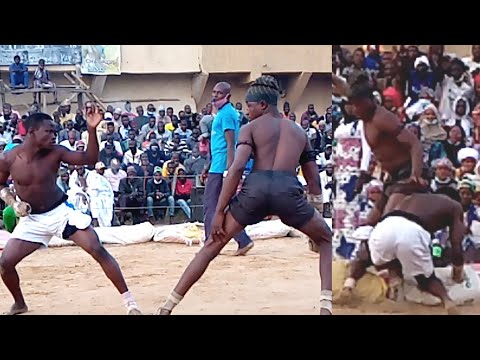 Korona Virus Ya Buge Autan Ali Kanin Bello A Kano Amma Kisan Yazo Da Gardama