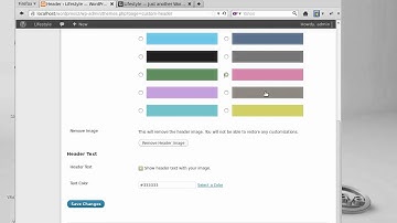Using the Genesis themes colour selector option in the StudioPress Lifestyle theme.
