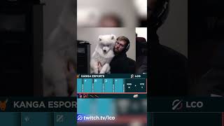 Very fluffy Dog invades champ select screenshot 3