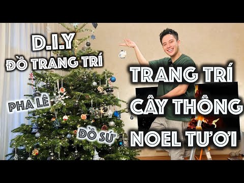 Video #Vlogmas: DIY & Trang trí CÂY THÔNG TƯƠI cao 2,5M cho... - youtube