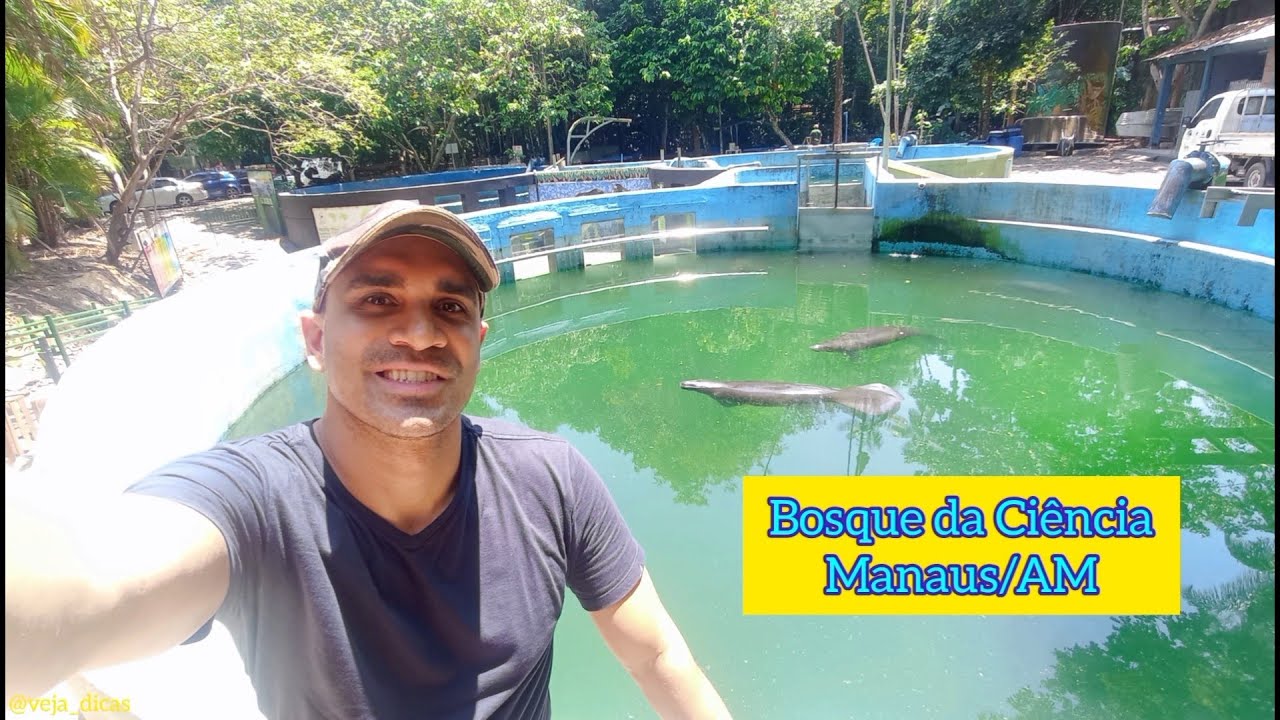 BOSQUE DA CIÊNCIA | INPA - O que fazer em Manaus? Peixe-Boi, Ariranha, Tartaruga, Jacaré e mais