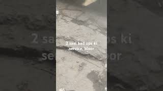 Ups Bloor, Service After 2 Years