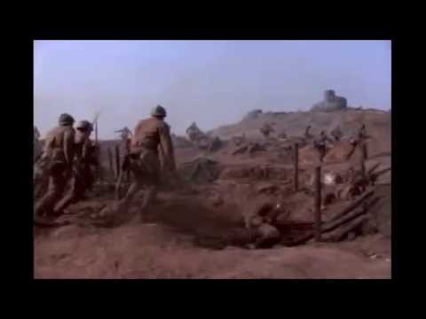 Video: Sandy immortelle - aknu dziedniece