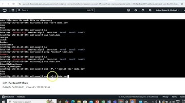 Linux Commands - Text Processing Commands