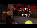 CANINE TERROR BIZARROO