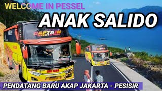 KABAR GEMBIRA!! 😄 BUS ANAK SALIDO BUKA TRAYEK JAKARTA - PESISIR