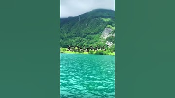 واتس اب قران كريم القارئ ياسر الدوسري سورة (البقره)