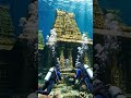 #Dwarka