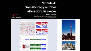 Somatic Copy Number Changes in Cancer