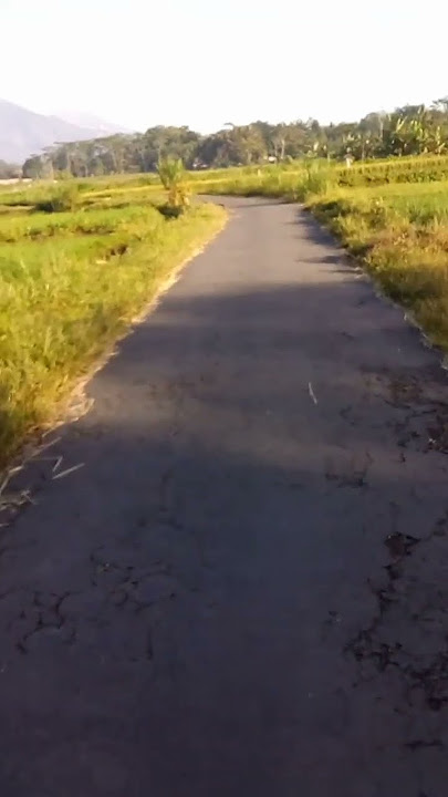 Story wa lagu sunda jalan desa#music #yusufmusic #suara #shorts@jalanmakita