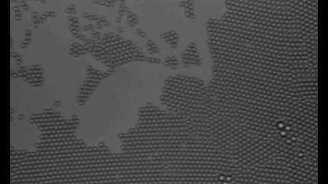 Colloid particle self assembly