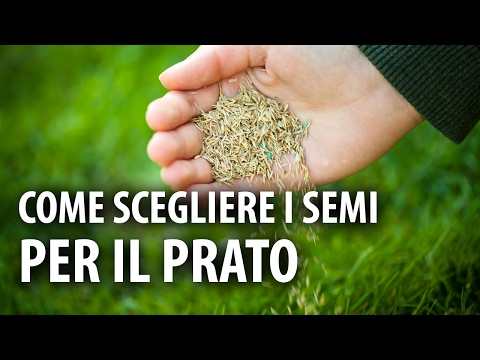 Video: Come Scegliere Un Produttore Nel