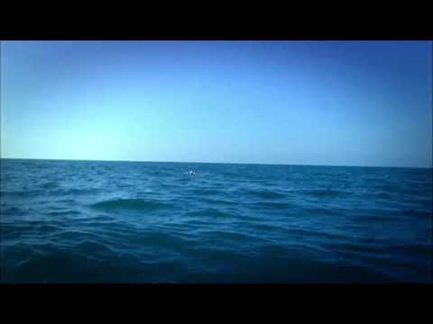 موت ايلين وعلي نهاية الجزء الاول مسلسل على مر الزمان