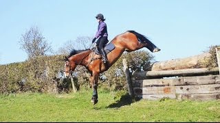 Alfie  SJ & XC Training
