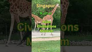 Singapur Kultur Sehenswertes