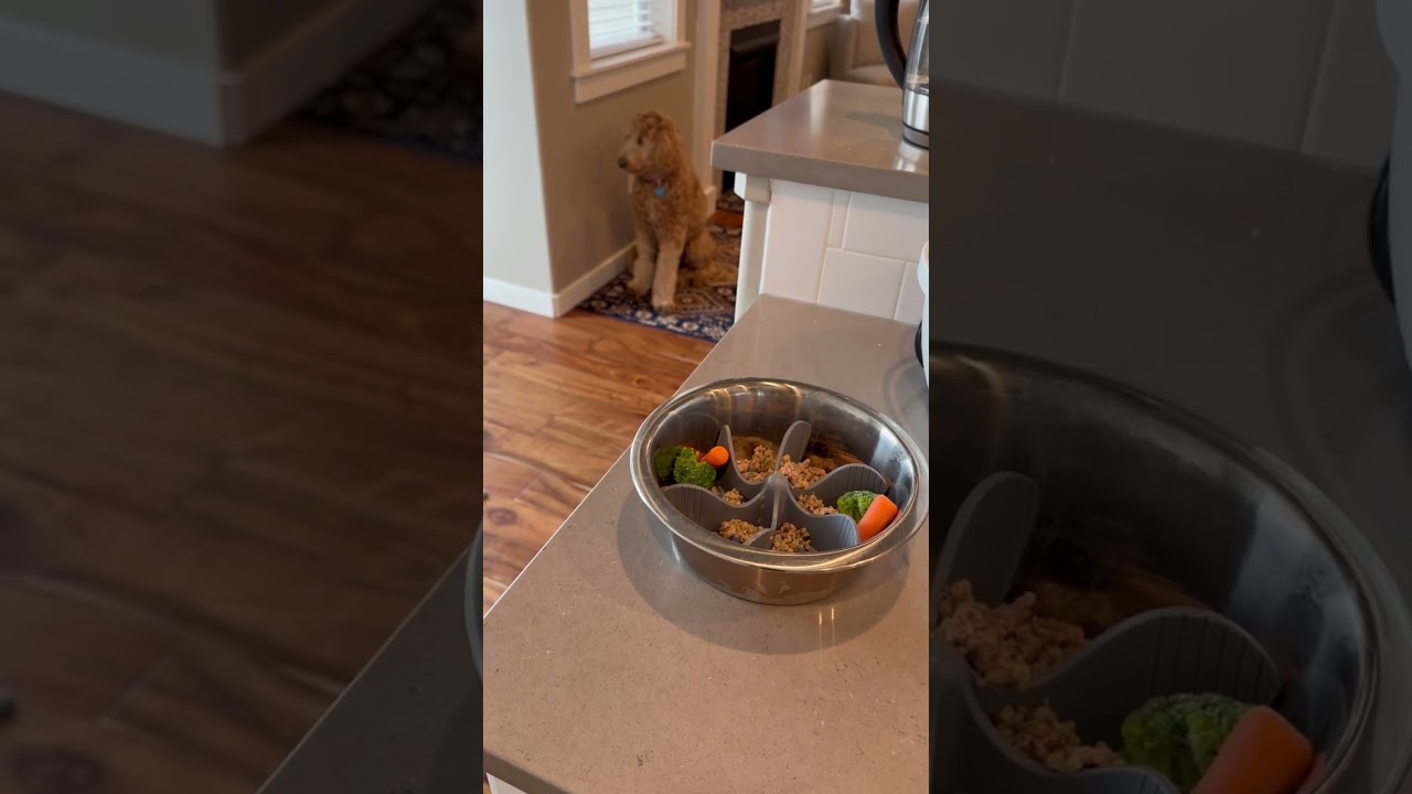 9mo Goldendoodle: Vet & AKC approved ingredients for homemade food.