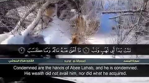 سورة المسد - هزاع البلوشي